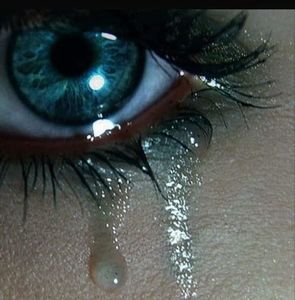 Meet your Posher, Marion